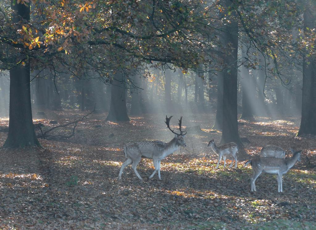 De Spaarbankhoeve Fluitenberg Екстер'єр фото